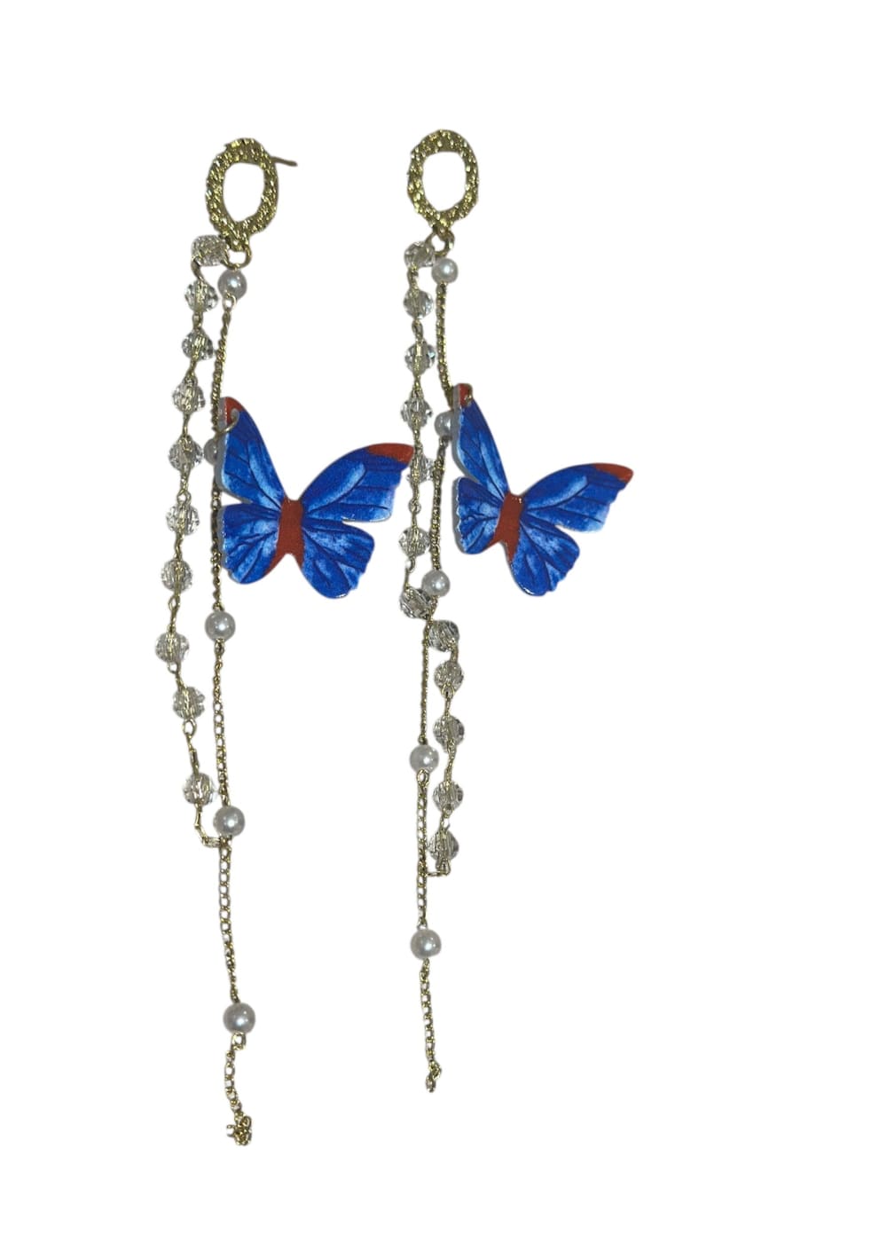 Korvakorut siniperhonen | Korvakorut