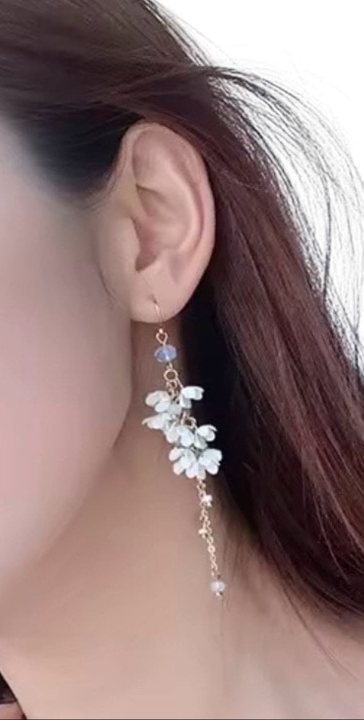 Korvakorut sulava | Korvakorut